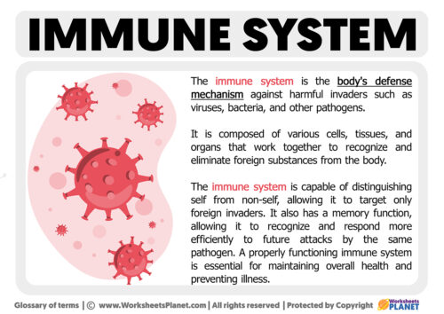 What Is Immune System Definition Of Immune System