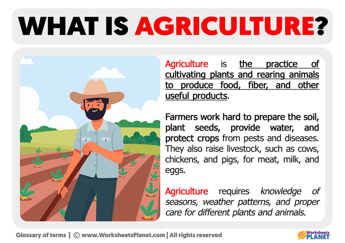 What Is Agriculture Definition Of Agriculture