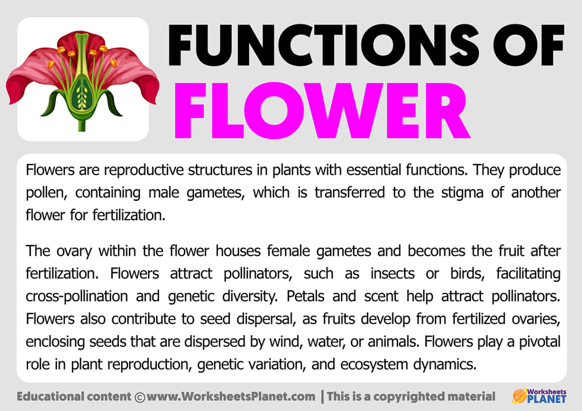 Functions Of Flowers