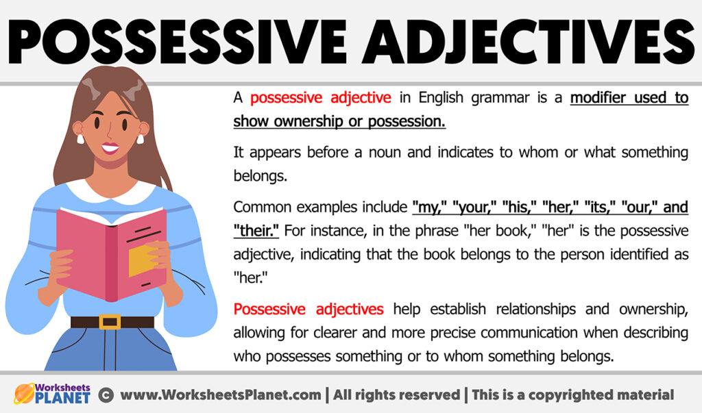 What Is A Possessive Adjective Definition Of Possessive Adjective