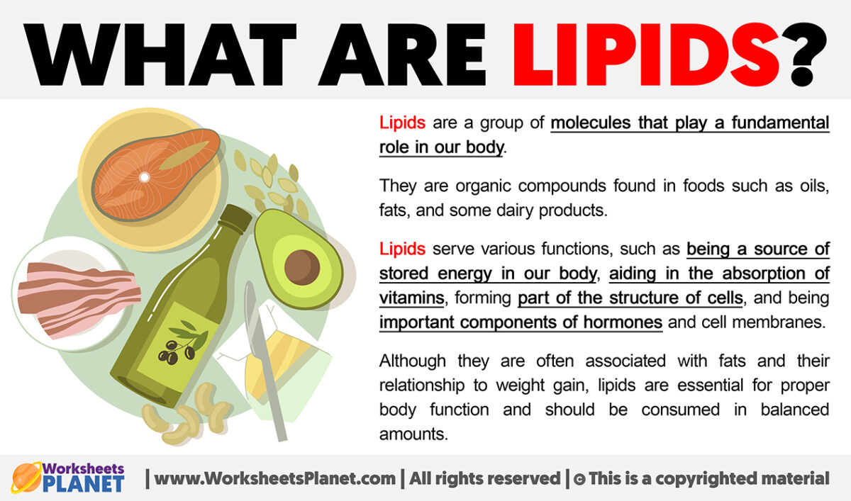 What Are Lipids Definition Of Lipid