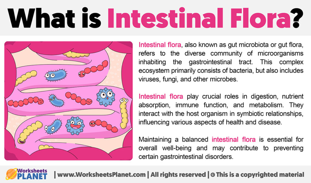 What Is Intestinal Flora