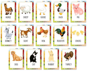 Farm Vocabulary Flashcards (objects And Animals)