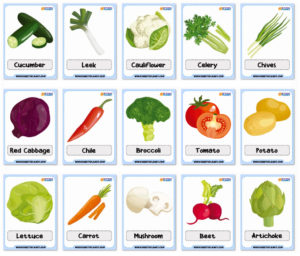 Vegetables Vocabulary Flashcards - Worksheets Planet