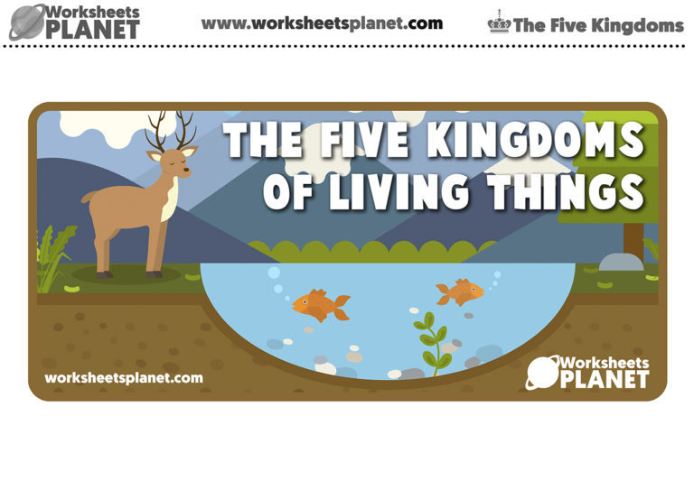 the-five-kingdoms-of-living-things-for-kids-super-pack