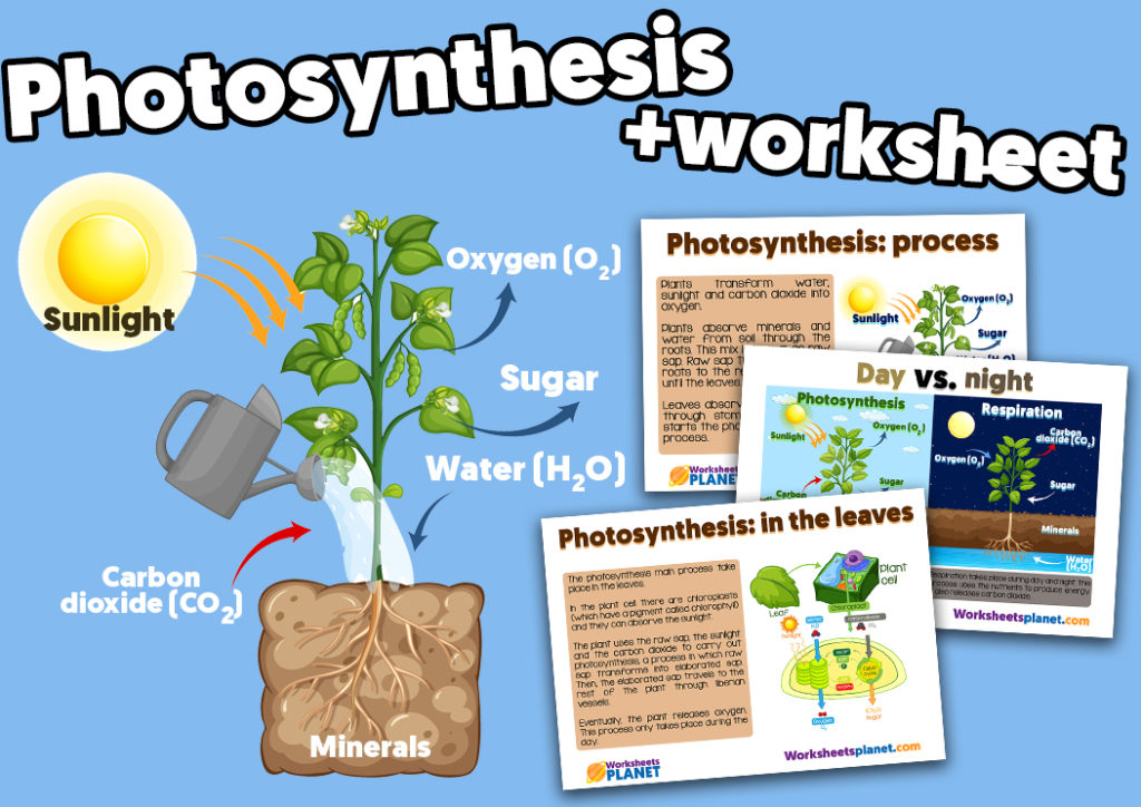 Science Resources for Teachers