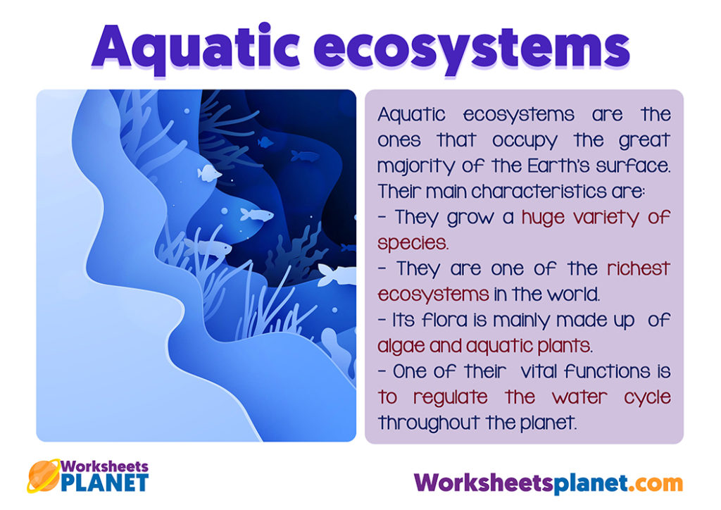 aquatic-ecosystems-for-kids-science-teachers-resources