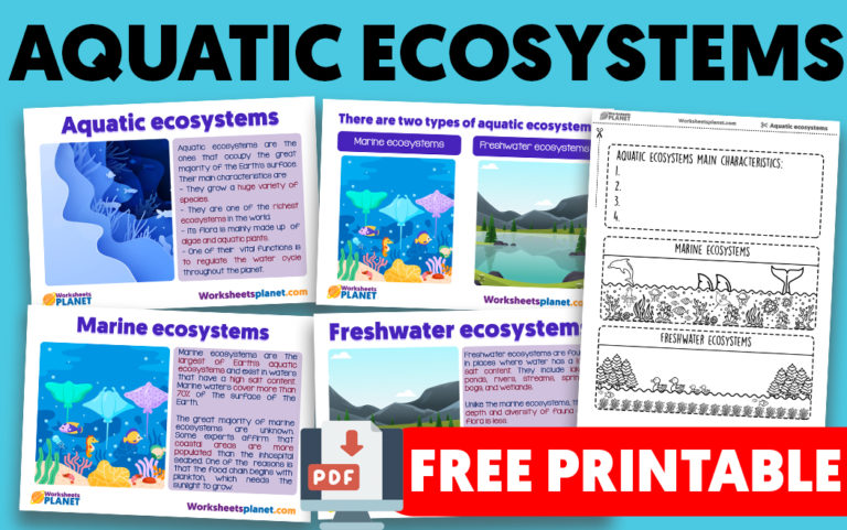 assignment on aquatic ecosystem