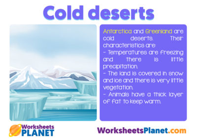 Cold Desert Ecosystem