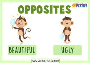 Opposite Words in English | Flashcards | ESL Teachers