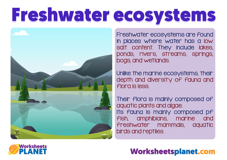 Aquatic Ecosystems for Kids | Science Teachers Resources