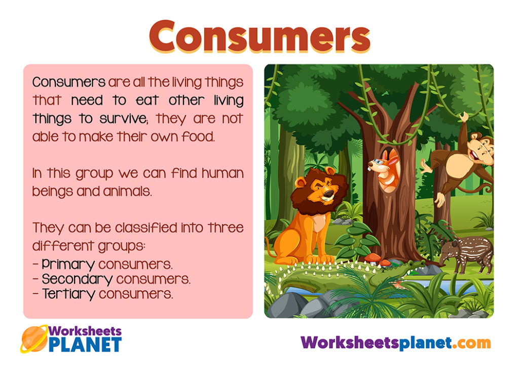 consumers-in-the-food-chain