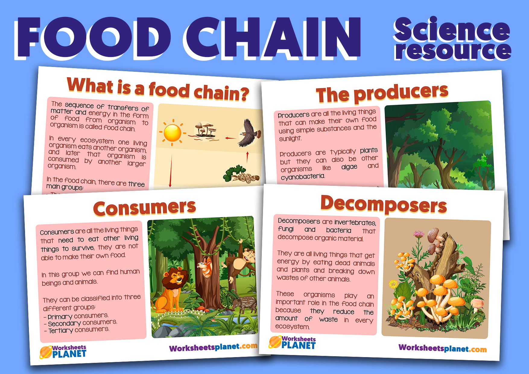 Food Chains Science Educational Wall Chart Poster In High Gloss Paper 