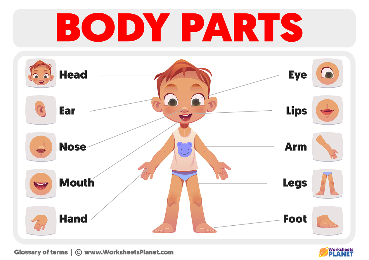 private parts of kids