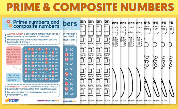 5.1 number theory prime and composite numbers