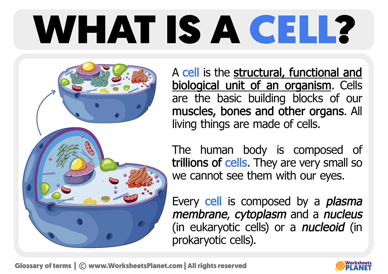 Definition Of Cell