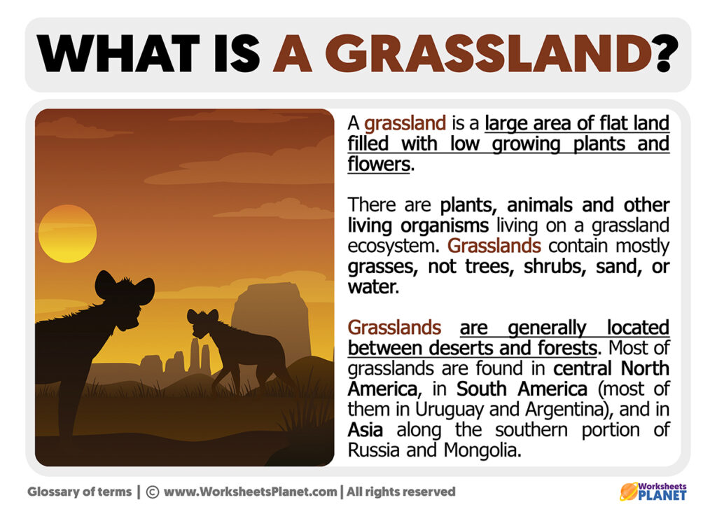 what-is-a-grassland-definition-of-grassland