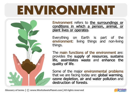 What Is The Environment Definition And Characteristics