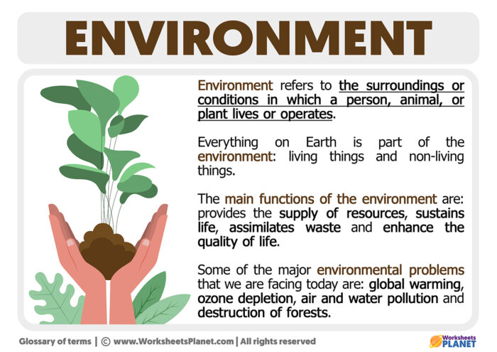 meaning and environment essay