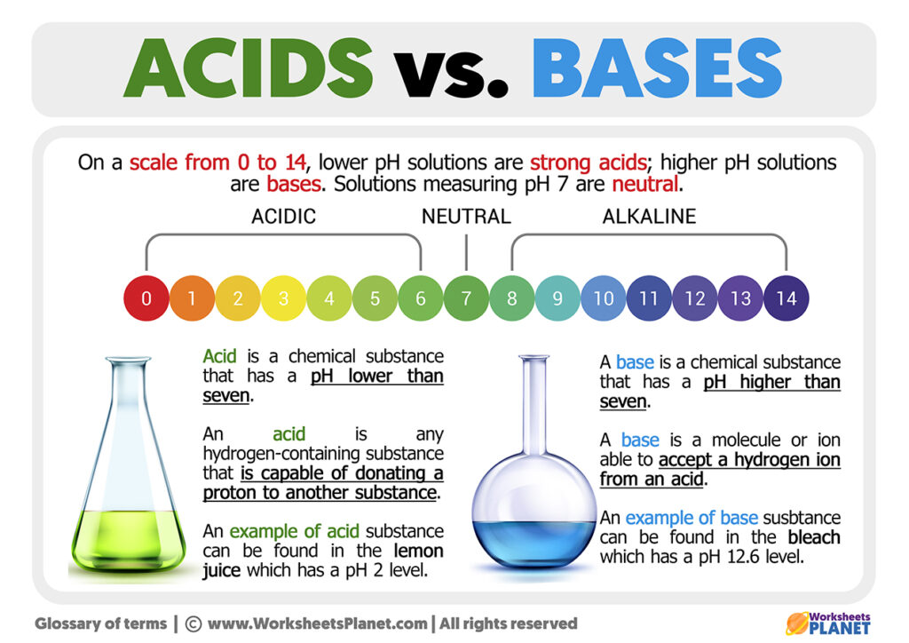 Acid And Bases Differences