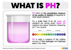 What Is PH