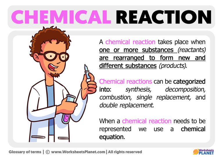 what is a chemical reaction essay