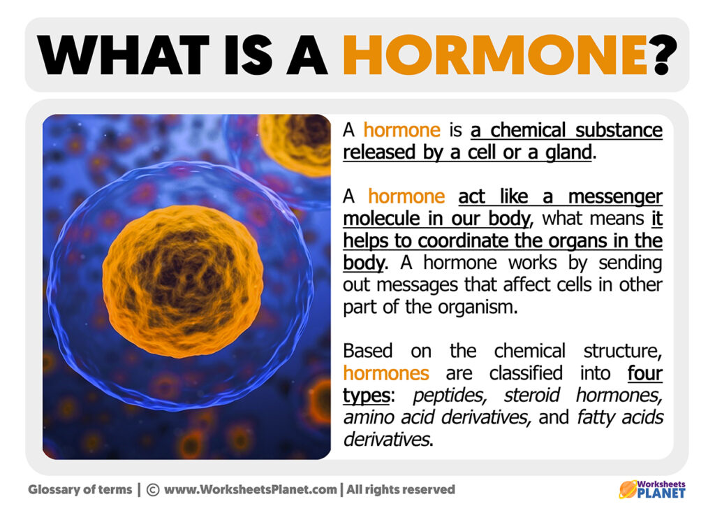 What is a Hormone | Definition of Hormone