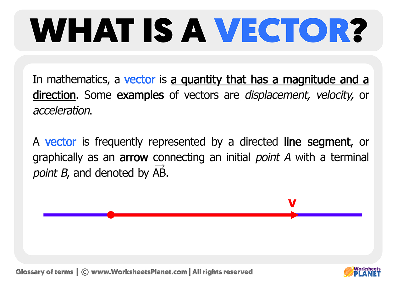 define vector homework