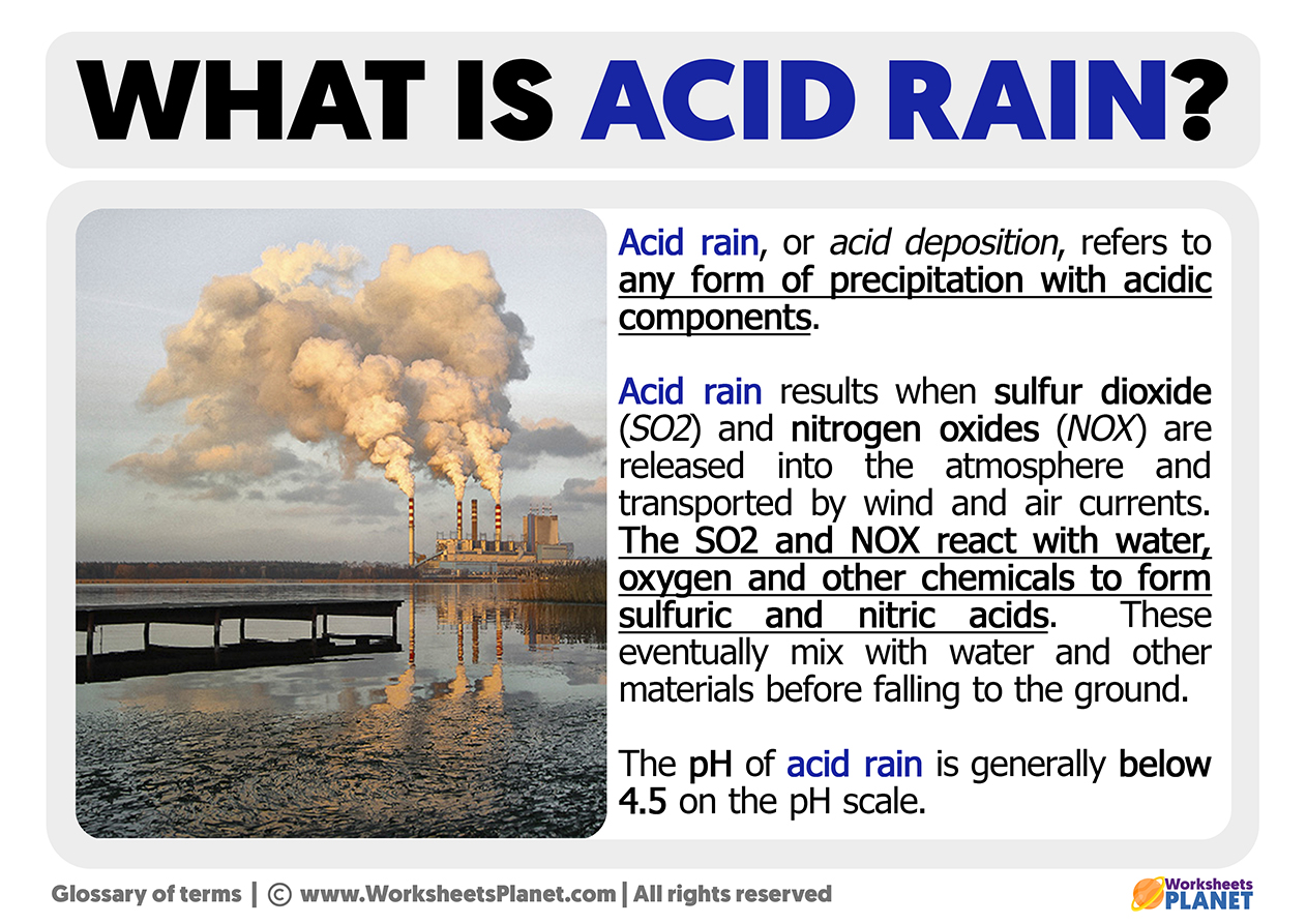 define acid rain essay