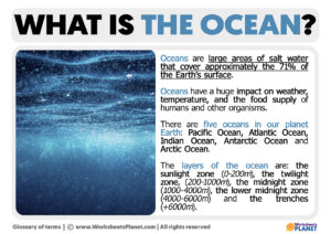 What Is The Ocean