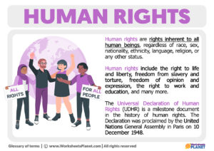 What Are The Human Rights