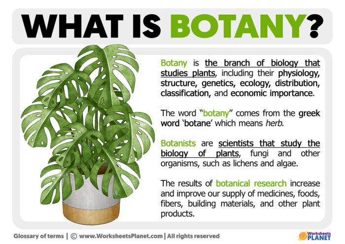 what-is-botany-definition-of-botany