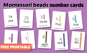 Montessori Beads Activities