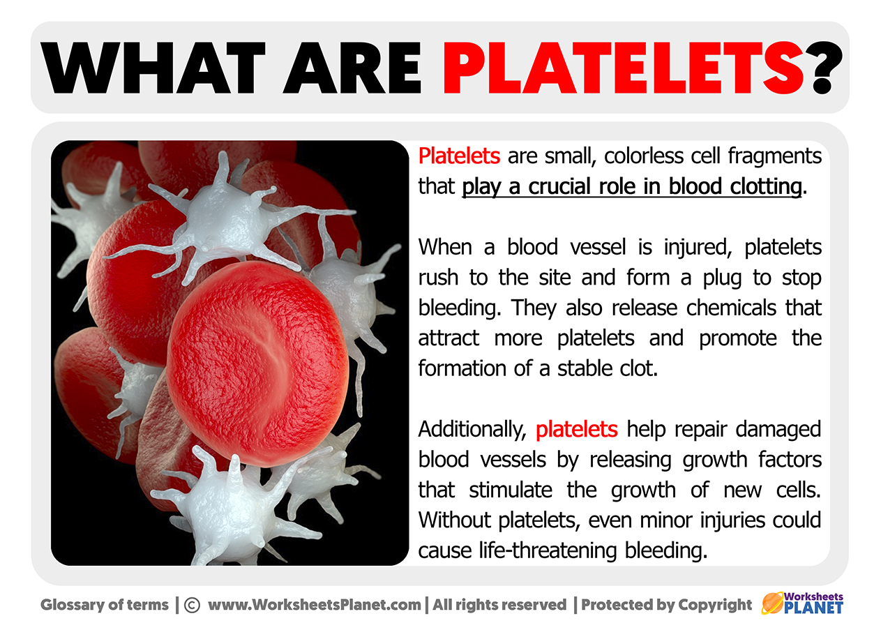 What Are Platelets