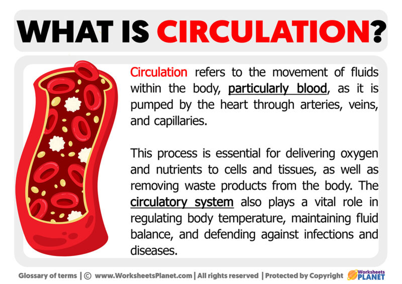 What is Circulation | Definition of Circulation