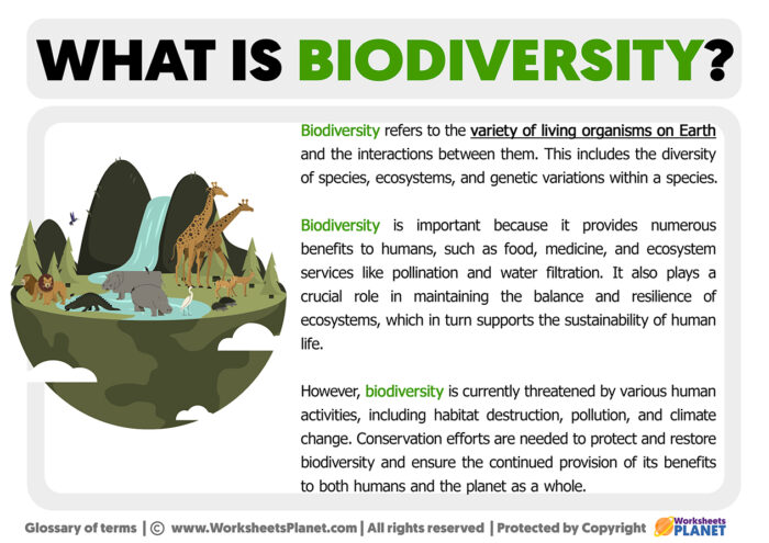 what-is-biodiversity-definition-of-biodiversity