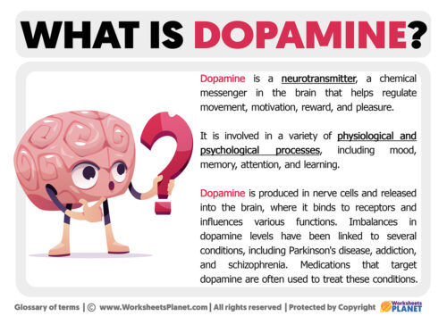 What is Dopamine Definition of Dopamine