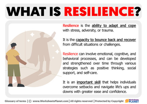 What is Resilience | Definition of Resilience