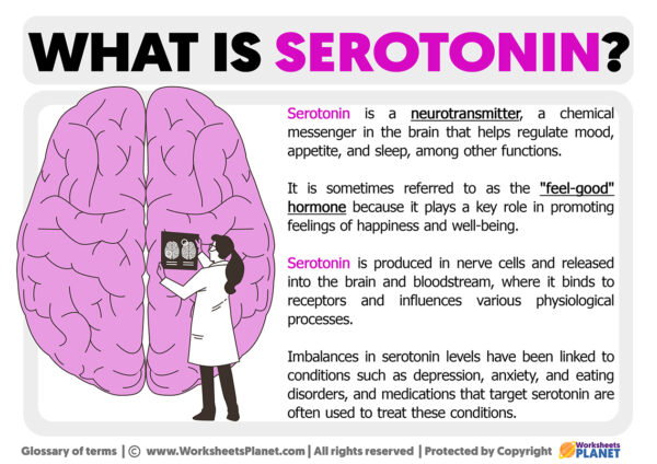 What is Serotonin | Definition of Serotonin