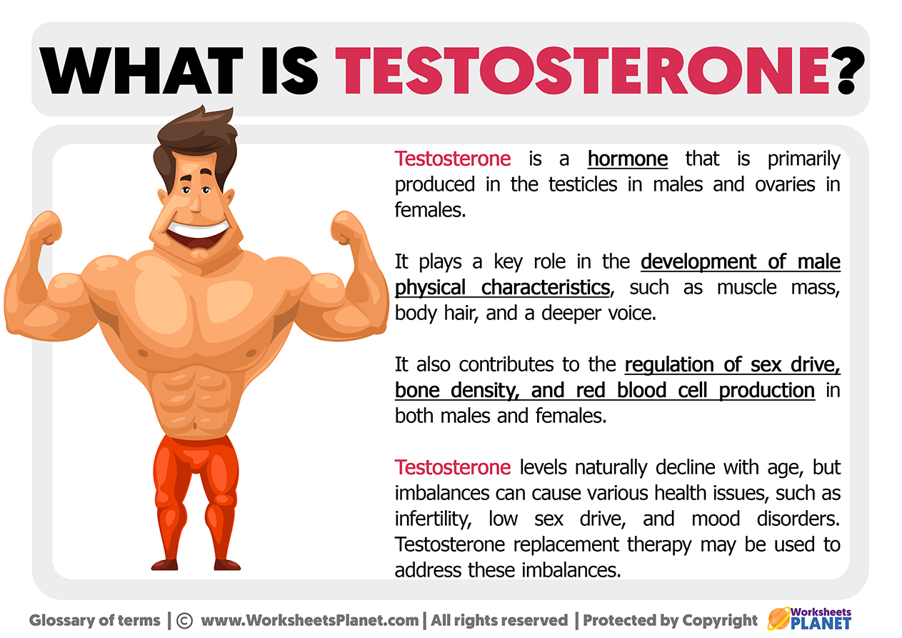 What Is Testosterone