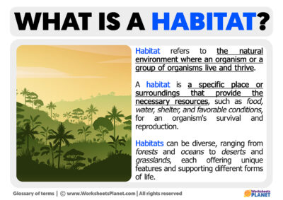 What is a Habitat | Definition of Habitat