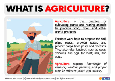 agriculture essay definition