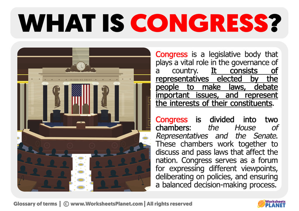 representation definition in congress