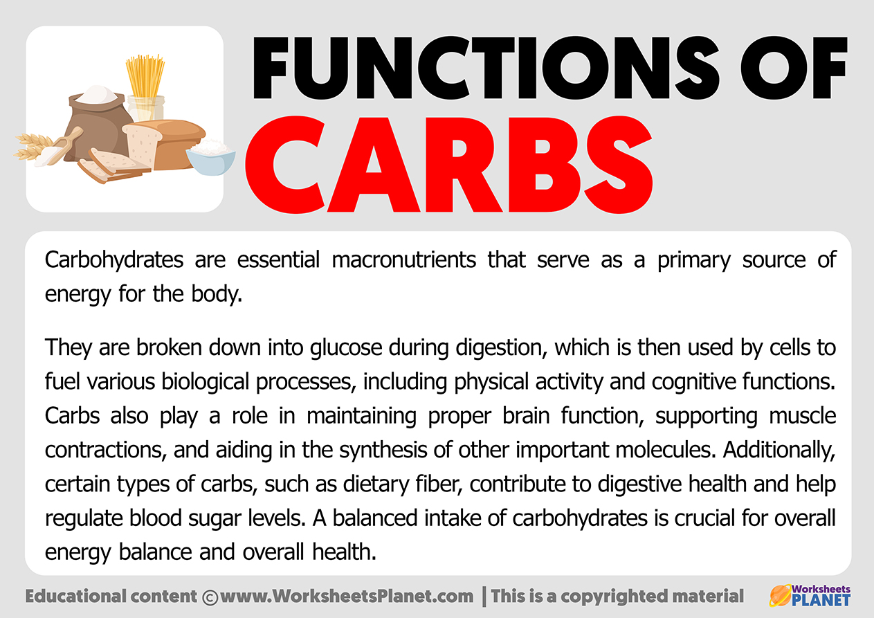 Carbohydrate functions in the body