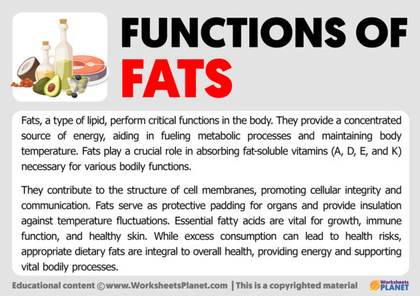 Function of Fats