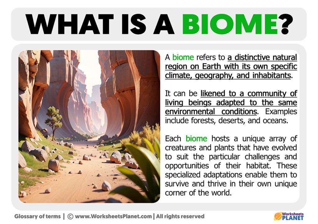 What Is A Biome | Definition Of Biome