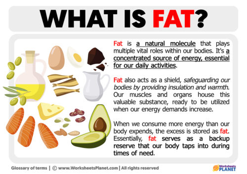 What is Fat | Definition of Fat