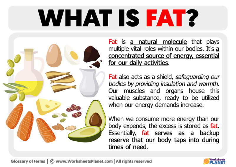 what-is-fat-definition-of-fat