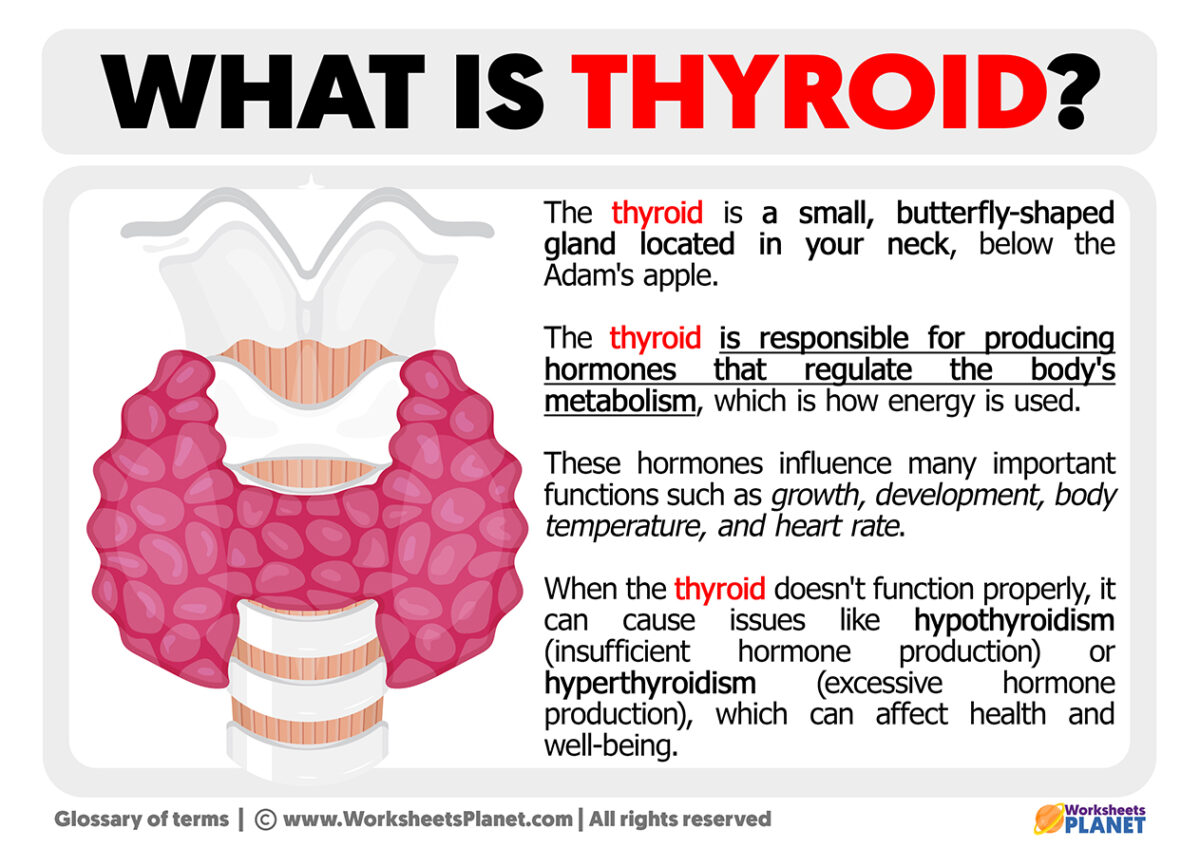 unlocking-the-hidden-benefits-of-thyroid-hormones