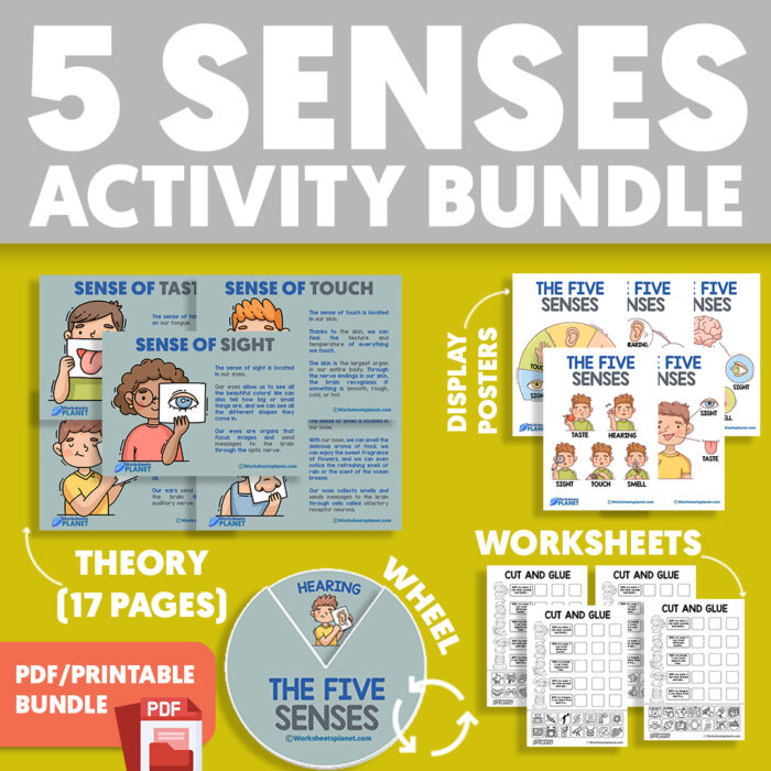 5 Senses Bundle